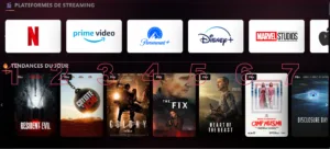 Page de présentation d’un contenu sur Purestream avec synopsis et boutons de lecture